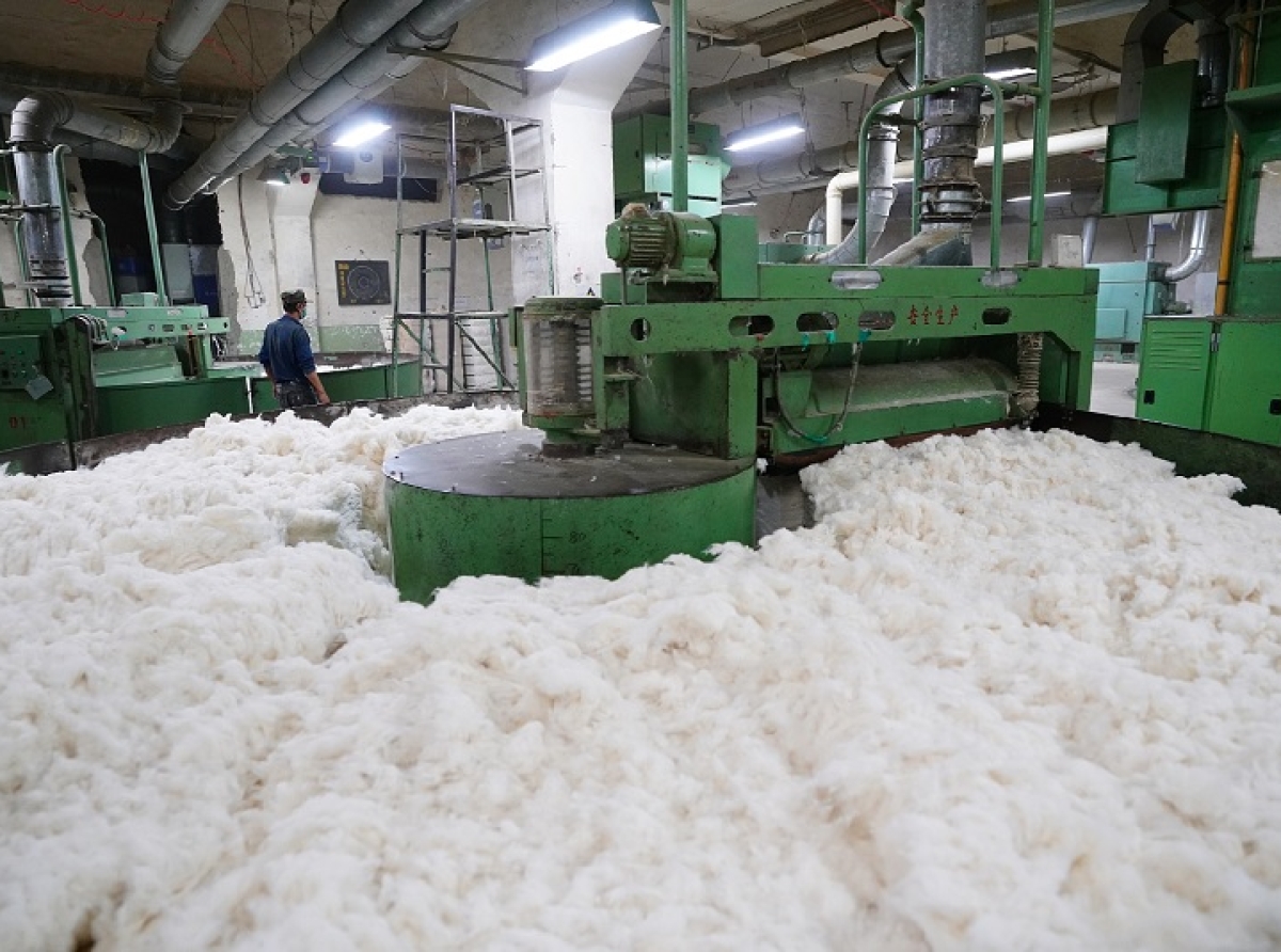 CottonIndustry